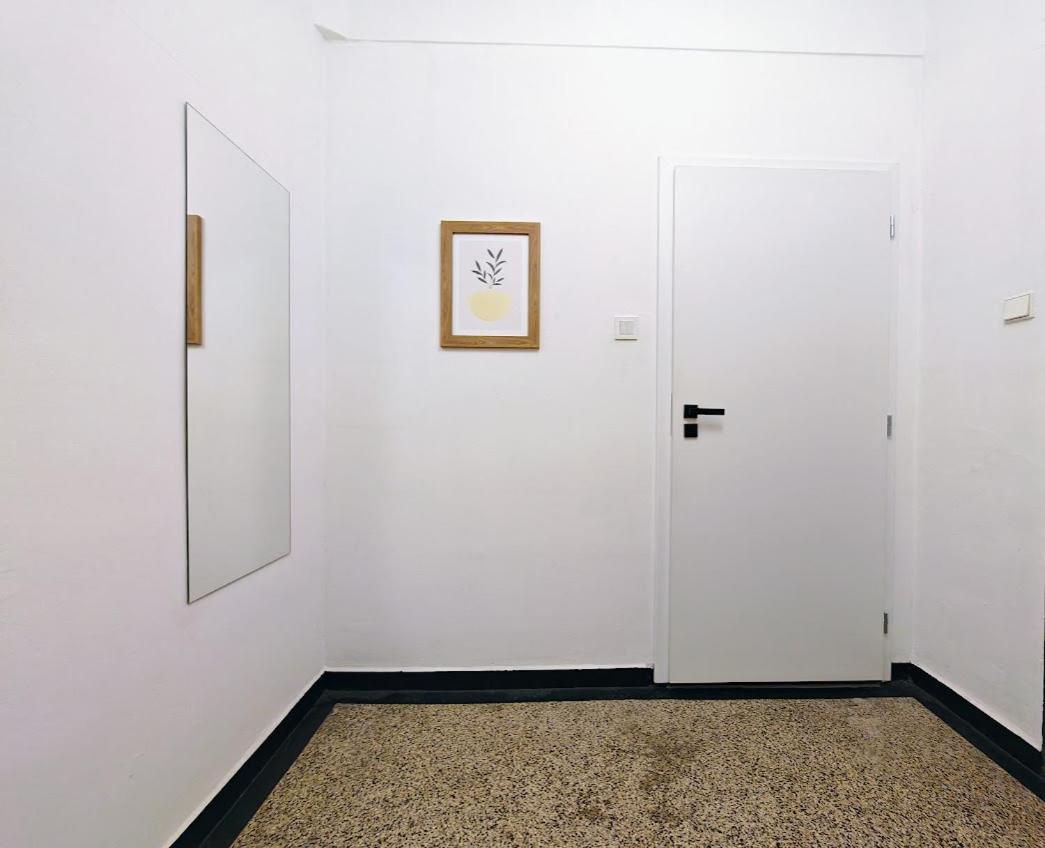 Zizkov Studio -004- Prag Eksteriør billede